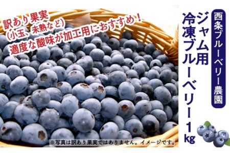 【先行予約】ジャム用冷凍ブルーベリー 1㎏ ｜ 西条ブルーベリー農園