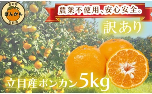 【 早期予約開始 】 ポンカン 訳あり 5kg 2026年 1月下旬より順次発送 収穫分 無農薬 ブランド サイズ混合 家庭用 立目産ぽんかん 柑橘 みかん 高知県 須崎市 MO004