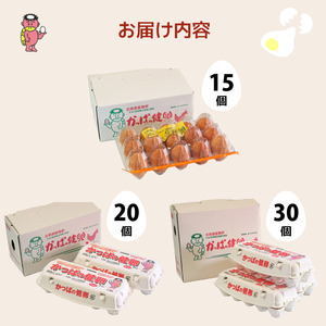 かっぱの健卵 20個 3か月定期便【大熊養鶏場】たまご 卵 玉子 タマゴ 生卵 こだわり 卵かけご飯 TKG 国産 お取り寄せ 北海道 比布町 ぴっぷ 1006-005