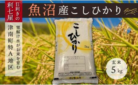 【令和8年産】【3ヶ月定期便】魚沼産コシヒカリ 玄米5kg  |津南町 魚沼