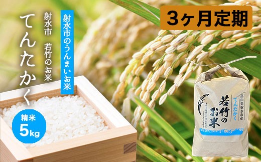 
                  【3ヶ月定期便】【射水市】【射水の美味しいお米】若竹のお米 R8年度産てんたかく5kg | 米 こめ コメ てんたかく 天高く 白米 新米 ブランド米 銘柄米 人気 ランキング 富山 富山米 北陸 北陸米 富山てんたかく 北陸てんたかく 精米てんたかく 5キロ 5キロ米 5kg 5kg米 ※離島への配送不可 ※2026年9月上旬～9月下旬頃に順次発送予定
                