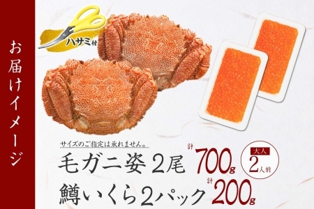 1372. 毛蟹 2尾 計700g前後 鱒いくら醤油漬け 200g 専用ハサミ・食べ方ガイド付き 毛ガニ 毛がに 蟹 カニ  鱒いくら いくら 醤油漬け ボイル 北海道 弟子屈町 23000円