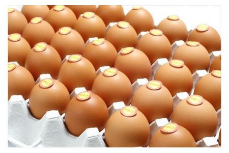 【12ヶ月定期便】せせらぎ卵 80個 〈丹波市産〉 鶏卵 定期便