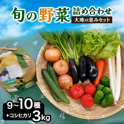 ふるさと納税 芝山町 旬野菜の詰め合わせ　「大地の恵みセット」9〜10種+コシヒカリ3kg【令和7年産 】