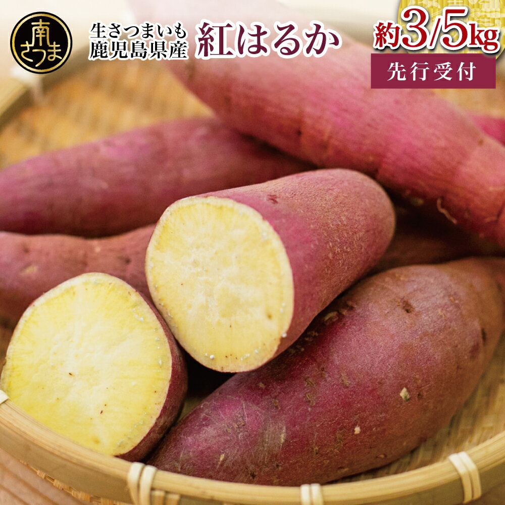 【ふるさと納税】生さつまいも 鹿児島県産「紅はるか」約3kg～5kg ★11月以降順次出荷★ 冬季限定 先行受付 先行予約 さつまいも 生いも 生芋 焼き芋 さつま芋 甘藷 サツマイモ べにはるか スイーツ 野菜 貯蔵 常温保存 旬 JA南さつま 鹿児島県 南さつま市 送料無料