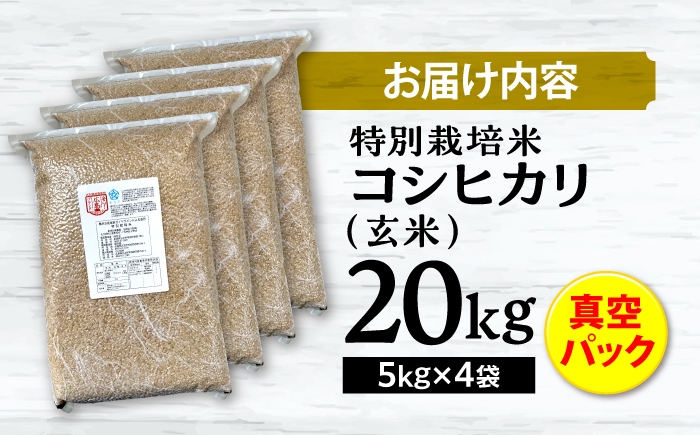 特別栽培米コシヒカリ 真空パック玄米20kg（5kg×4袋） お米 こしひかり ご飯 コシヒカリ おこめ 三次市/小川モータース [APCH008]
