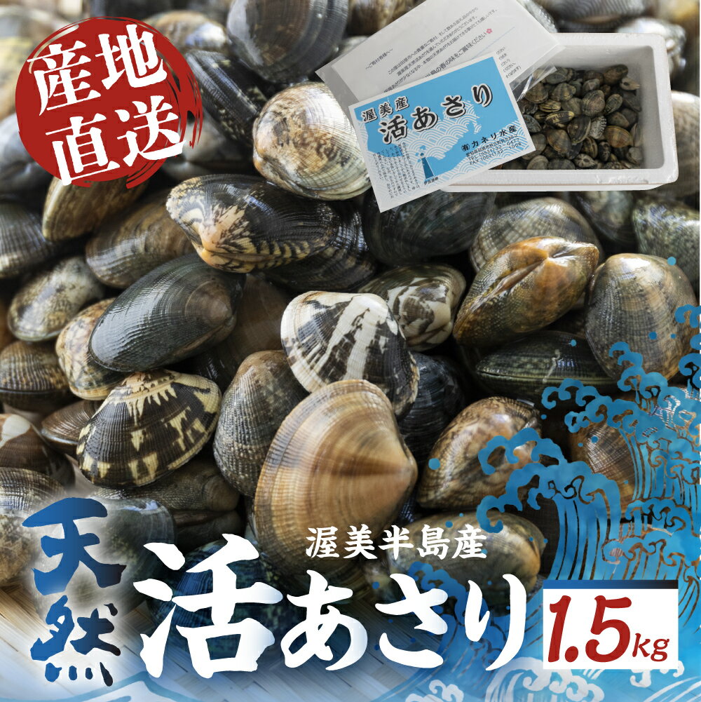 【ふるさと納税】旬の渥美産 ＼高評価★4.6／ 天然 活あさり 1.5kg 先行予約 あさり 国産 アサリ 採れたて 砂抜き 海鮮 魚介類 魚介 貝 送料無料 サイズ 不揃い 訳あり 産地直送 田原市 海産物 愛知県