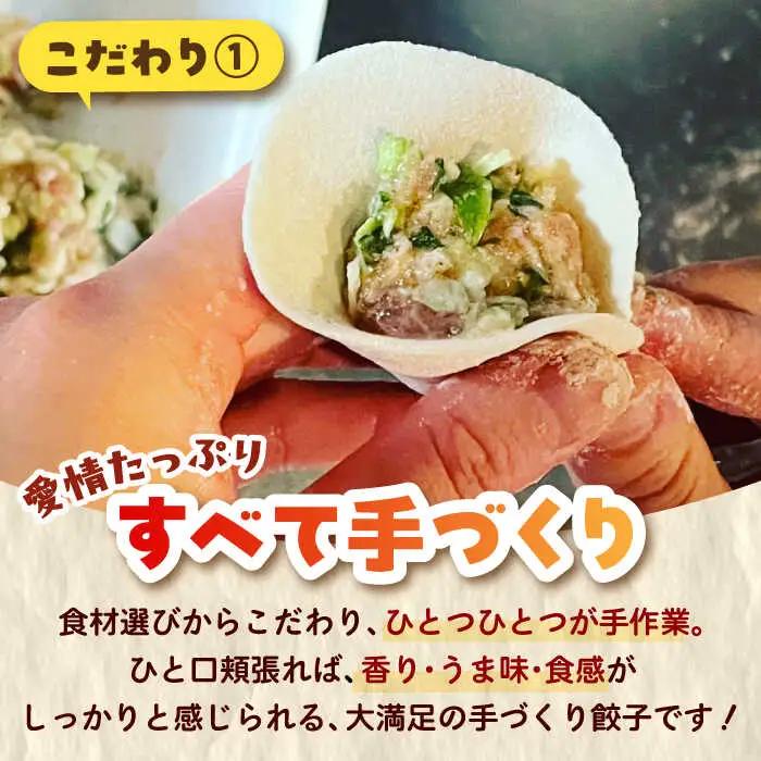【モチッ！じゅわ～！手作り餃子】冷凍生餃子　焼き餃子・水餃子 セット 計30個 食べ比べ 【点心屋台くまや】[QG03]