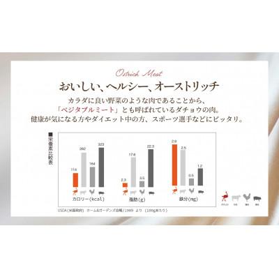 ふるさと納税 美里町 国産オーストリッチ外モモ肉　1.4kg◆ダチョウ肉 |  | 01
