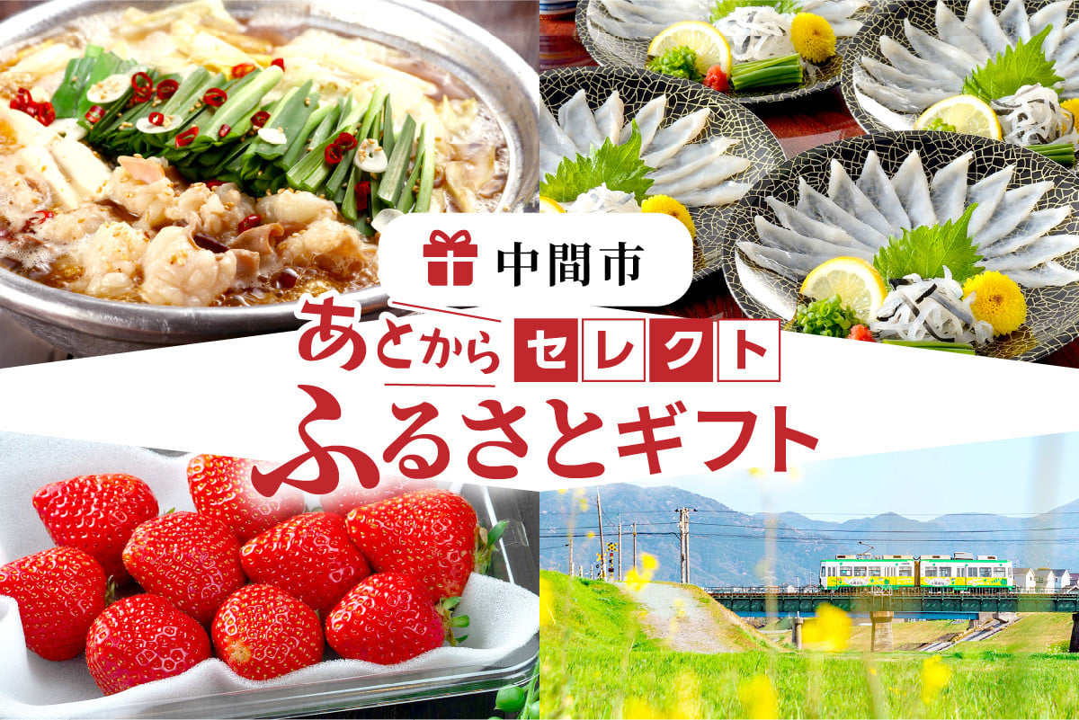 
            あとからセレクト【ふるさとギフト】寄附90万円相当
          
