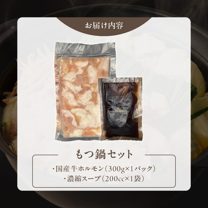 【食肉総合卸 丸正】厳選国産牛のもつ鍋セット（3人前） 