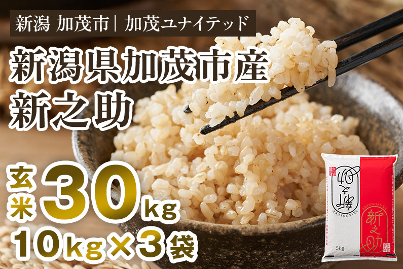 
            【令和7年産新米先行予約】新潟県産 新之助 玄米30kg 《10kg×3袋》《10月上旬から順次発送》 新潟 ブランド米 加茂市 加茂ユナイテッド
          