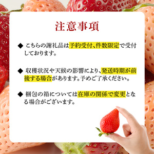 ★予約受付★杉山いちご農園 玄海町産いちご ミックス定期便｜いちご 定期便 いちご定期便 いちご 定期便 いちご定期便【Z049】