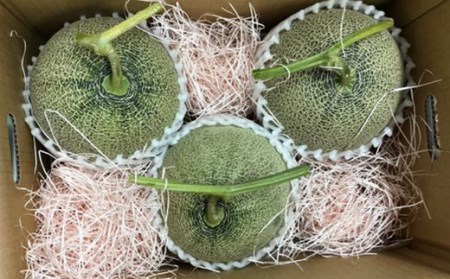 《先行予約 2026年度発送》ぎゅっと肉厚！山形のおいしいメロン【赤肉】 赤肉メロン メロン 赤肉 デザート フルーツ 果物 くだもの 果実 食品 山形県 FSY-0117