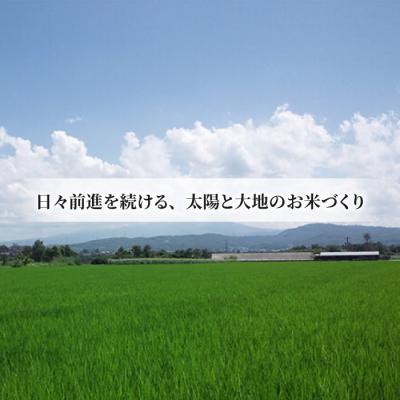 ふるさと納税 東御市 【令和7年産】八重原産コシヒカリ白米2kg 特別栽培米(減農薬・減化学肥料栽培)【太陽と大地】 |  | 02