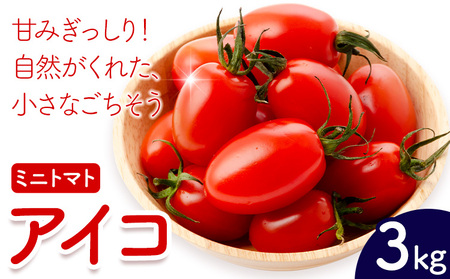 ミニトマト アイコ 約3kg ますだふぁーむ《7月上旬-11月末頃出荷》熊本県 南阿蘇村 アイコトマト 野菜 旬 夏野菜 トマト