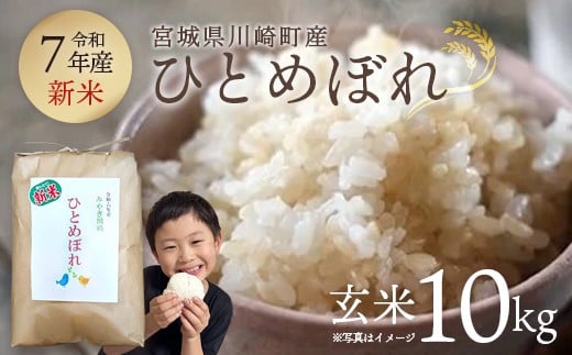 
            【令和7年産】みやぎ川崎産 ひとめぼれ 10㎏（玄米）【04324-0098】
          