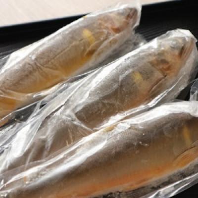 ふるさと納税 北川村 【令和8年6月より発送】天然あゆ　6匹 |  | 02