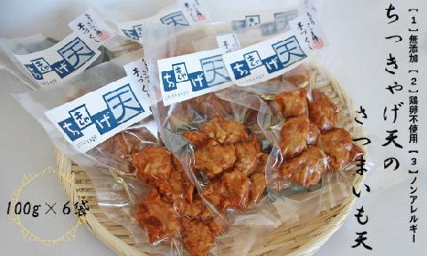 ちっきゃげ天のさつまいも天【100g×６パック】(ちっきゃげ天/IB093-002) さつまあげ 練り物 すり身 つまみ 詰合せ 惣菜 天ぷら 鹿児島