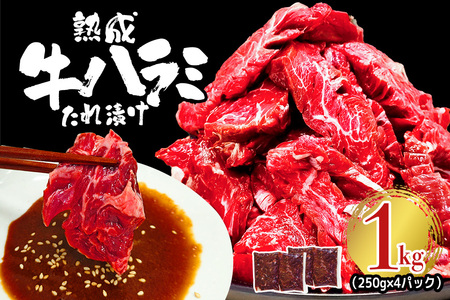 熟成牛ハラミ 1kg (250g×4パック) たれ 味付 小分け 冷凍 焼肉 焼き肉 牛 牛肉 ビーフ ハラミ BBQ 【そうざい男しゃく（株式会社池延）】【ho1468】