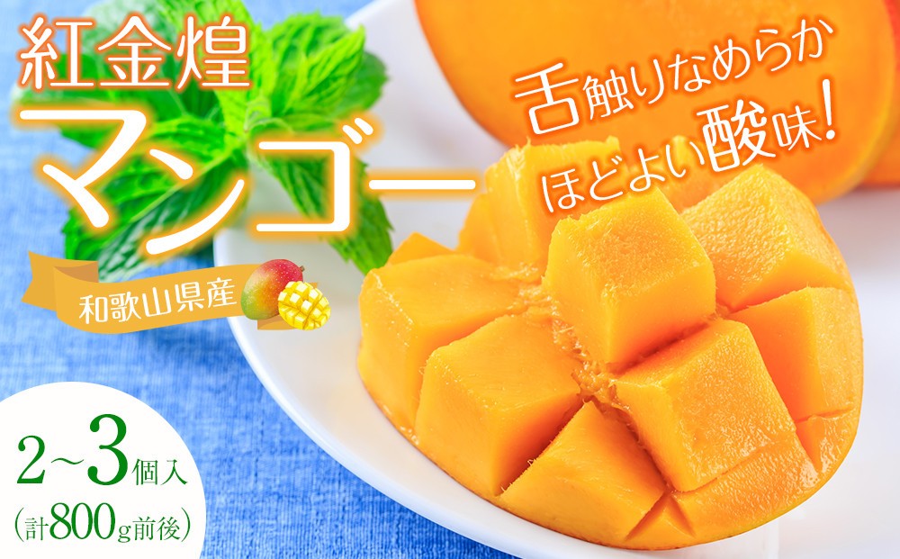 
            紅金煌 マンゴー 2~3個 入り 合計 800g前後
          