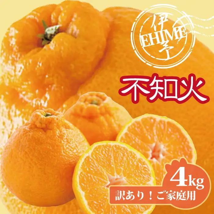 【2027年3月上旬より順次発送】訳あり 不知火 約4kg｜B236