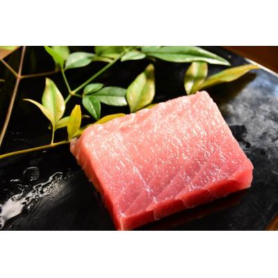 ふるさと納税 島田市 メバチマグロ 中トロ柵 2柵(合計約450g)【配送不可:離島】