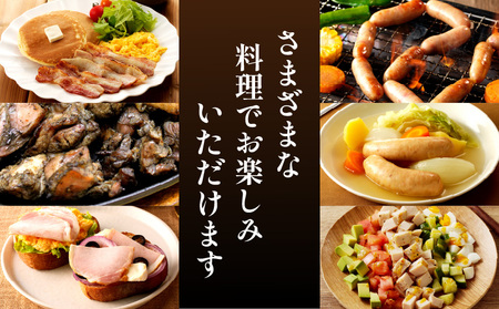 宮崎県産肉加工品バラエティセットA（合計1.27ｋｇ9種類） ハム 粗挽 ウィンナー 炭火焼 ロースハム ベーコン セット