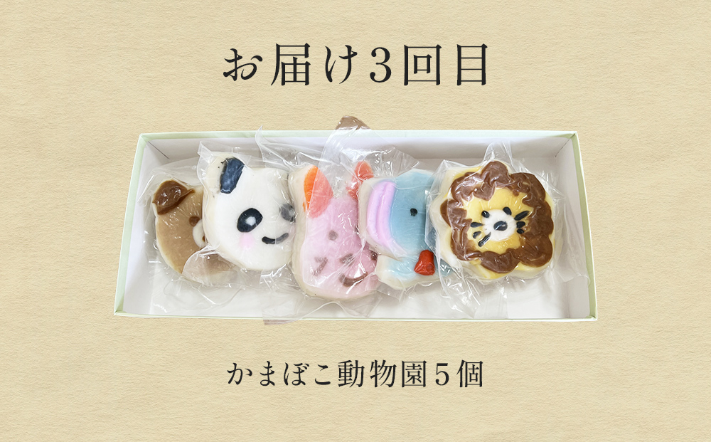＜3回隔月定期便＞加納かまぼこ詰め合わせ 富山県 氷見市 定期便 蒲鉾 詰め合わせ セット 食べ比べ かわいい