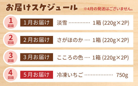 【4回定期便】岸川農園の自慢の赤白いちご（淡雪・さがほのか・こころの色・冷凍いちご） 【岸川農園】[IAP046]