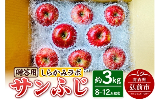 【26年12月中旬～発送】りんご サンふじ【贈答用】約3kg 先行受付 しらかみラボ 青森県 弘前市 果物 フルーツ 林檎 リンゴ くだもの ギフト 贈り物 [先行予約 産地直送 アップル おいしい 果実 美味 甘い 赤色]