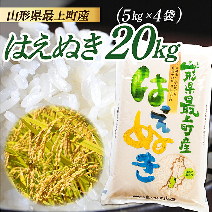【ふるさと納税】令和8年産予約　山形県産 はえぬき 20kg (5kg×4袋)