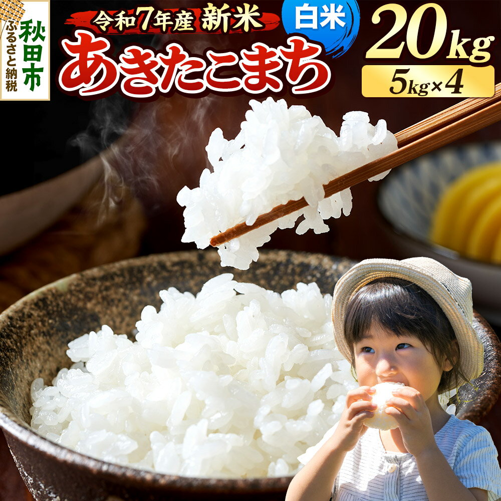 【ふるさと納税】《令和7年産 新米先行受付》 米 あきたこまち 20kg（5kg×4袋） 【白米】 秋田県産