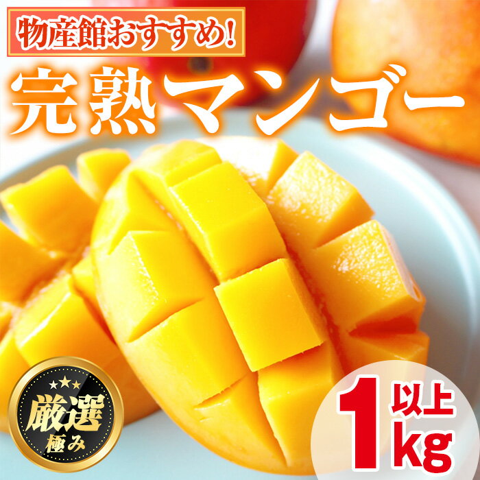 ＜数量限定＞南国鹿児島県産の太陽の恵み！完熟マンゴー(計1kg以上・2-3個入り) 果物 フルーツ 果実 デザート 国産 冷蔵【東串良物産館ルピノンの里】【0145910a】