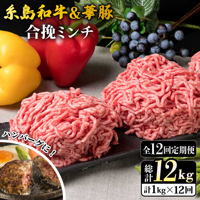 【ふるさと納税】【全12回定期便】糸島和牛 糸島豚 合挽ミンチ 500g×2p 計1kg 糸島ミートデリ工房 [ACA259] 115000円 100000円 10万