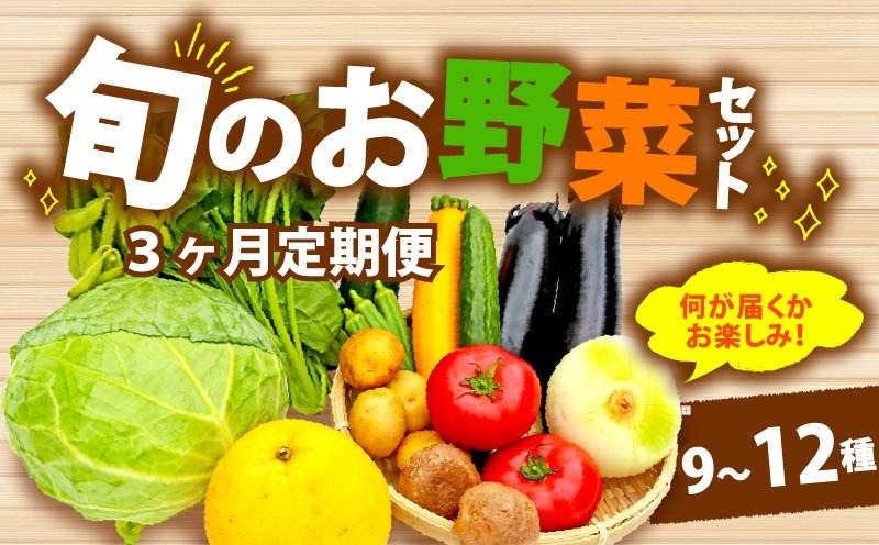【全3回定期便】 野菜 詰め合わせ おまかせ 野菜詰合せ （9～12種） 野菜 詰合せ 9～12種 おまかせ 旬 まんさいかん ボックス 静岡県 藤枝市 (人気野菜 ふるさと納税野菜 ふるさと野菜 furusato野菜 おすすめ野菜 送料無料野菜 静岡県 藤枝市 )