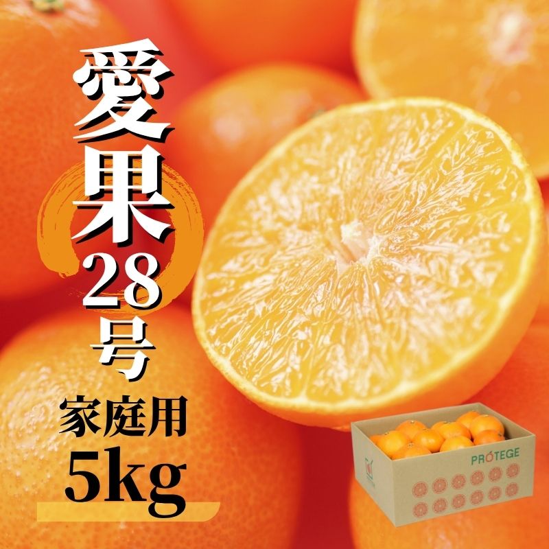 【ふるさと納税】【2026年12月頃から順次発送】 愛果28号 (紅まどんな と同品種) 5kg 家庭用 | 愛果28号 まどんな 柑橘 みかん 果物 くだもの フルーツ おすすめ 高級 人気 お取り寄せ グルメ ギフト 期間限定 数量限定 ご当地 愛媛県 松山市