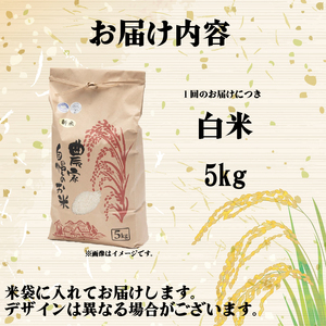 【令和7年産】 新米 白米 5kg 定期便 3ヶ月 きぬひかり