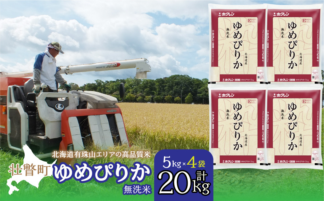 
            【令和6年産 新米】（無洗米20kg）ホクレンゆめぴりか（無洗米5kg×4袋） 【 ふるさと納税 人気 おすすめ ランキング 北海道産 壮瞥 無洗米 米 白米 ゆめぴりか 甘い おにぎり おむすび こめ 贈り物 贈物 贈答 ギフト 大容量 詰合せ セット 北海道 壮瞥町 送料無料 】 SBTD067
          