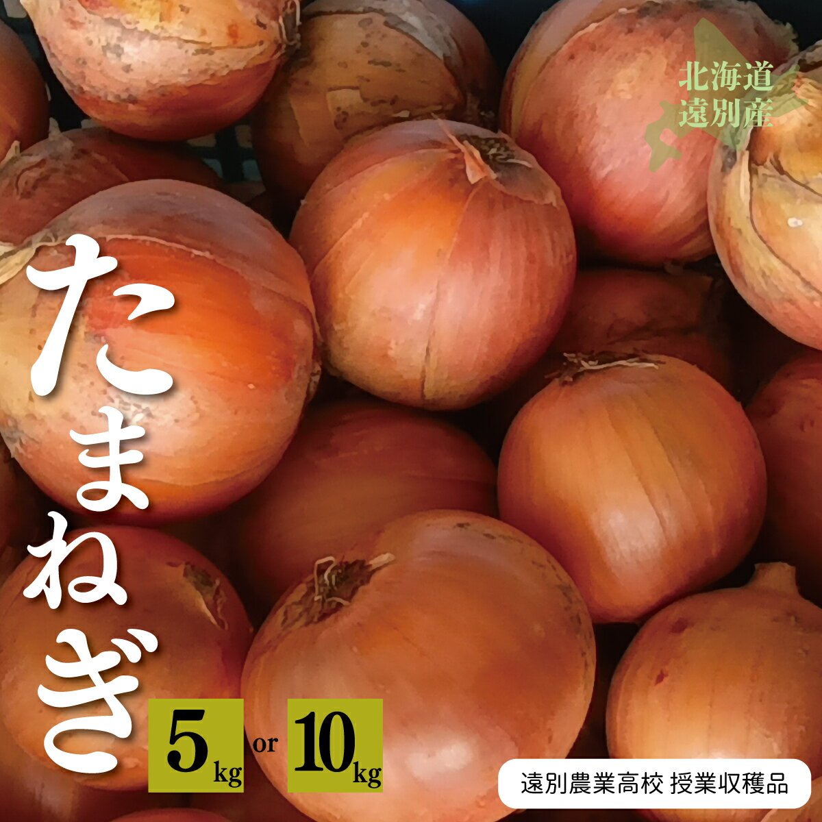 【ふるさと納税】＜選べる容量＞玉ねぎ 5〜10kg M～2L玉混合【遠別農業高校】授業収穫品 玉ねぎ 野菜
