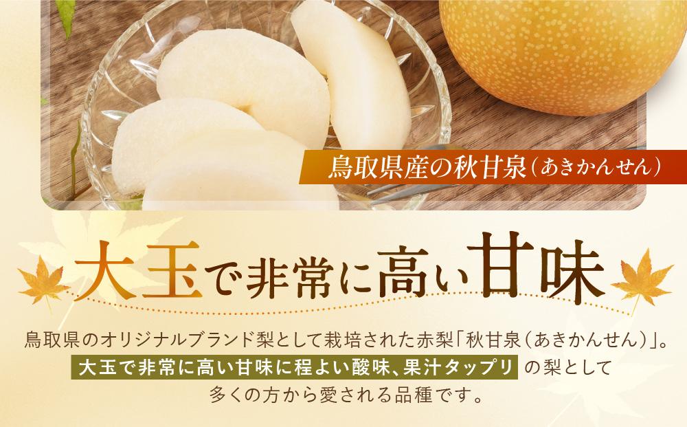 【先行予約】数量限定 鳥取県産梨 秋甘泉（あきかんせん） 5kg（8～12玉）