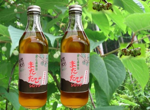 
            80 【数量限定】またたびシロップ
          