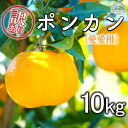 【ふるさと納税】 先行予約 訳あり ポンカン 約10kg 愛愛柑 10000円 みかん 蜜柑 オレンジ 温州みかん 文旦 河内晩柑 デコポン 不知火 果物 くだもの 果実 柑橘 フルーツ ゼリー ジュース 甘い ジューシー ビタミン 美容 健康 ブランド 国産 産直 糖度 愛媛県 愛南町