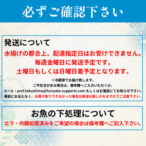 鮮魚ボックス 4種 冷蔵 鮮魚