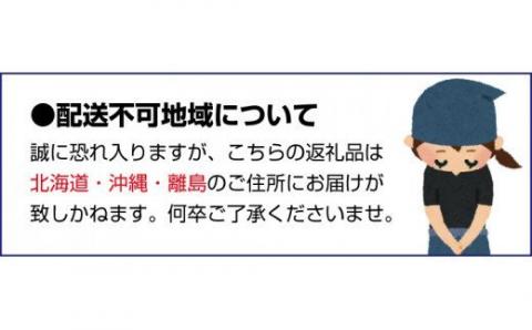 【秋の味覚】和歌山産のたねなし柿2L～4Lサイズ約2kg（化粧箱入り）※2024年10月上旬から11月上旬順次発送【tec408】