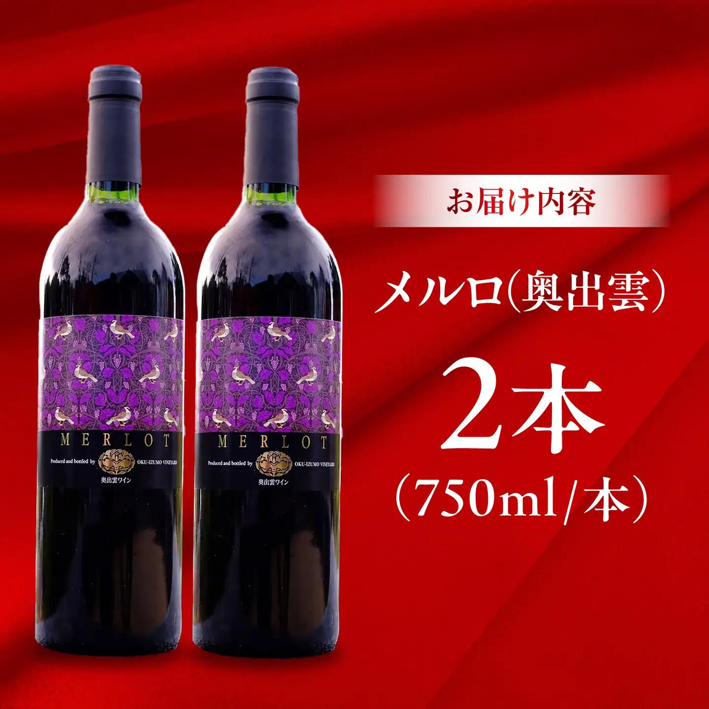 奥出雲ワイン メルロ 2本 750ml×2 赤ワイン 国産 島根県雲南市/有限会社奥出雲葡萄園[AICS096]