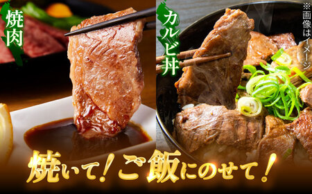 飛騨牛 焼肉用 カルビ 1kg 瑞浪市 / 肉のひぐち 国産 ブランド牛 和牛[AZDE004]