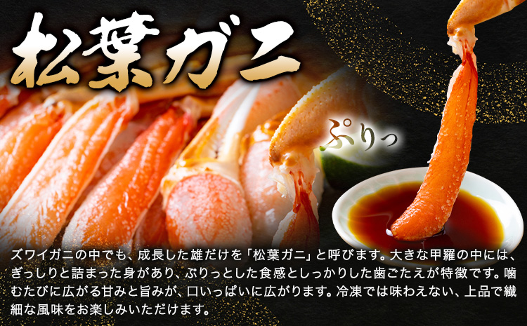 【ふるさと納税】カニ 松葉ガニ 1kg超え 活き 1杯 《1月・2月発送》 SOO合同会社 鳥取県 八頭町 送料無料  蟹 かに 姿 鍋 ズワイガニ  ズワイ蟹 ボイル 松葉ガニ