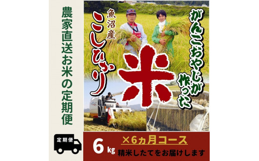 【特別栽培米】6か月定期便　がんこおやじが作った南魚沼産コシヒカリ白米６kg（３kg×２袋）