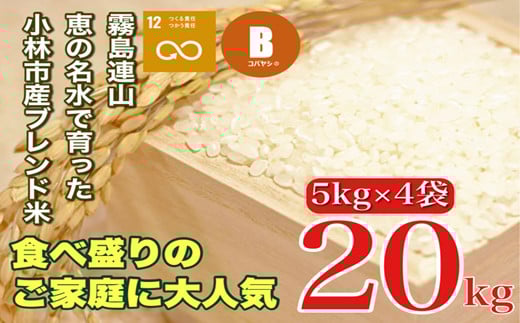 
            【生活応援米】湧水で育った小林市産ブレンド米 20kg（5kg×4袋 お米 米 ブレンド米 白米 精米 家庭用）
          